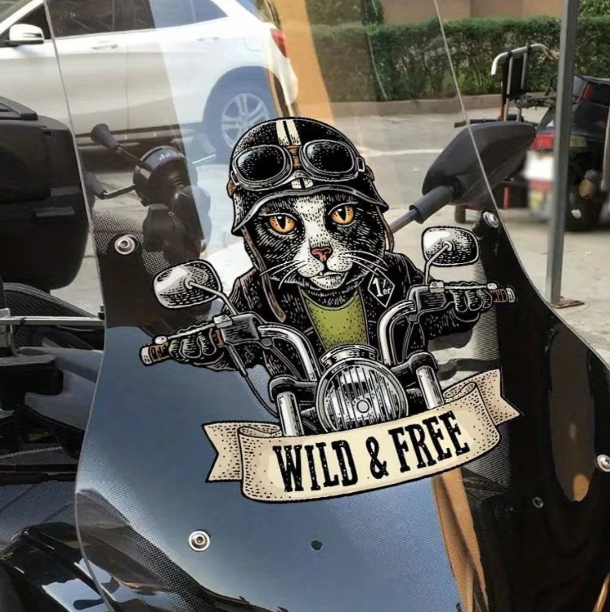 Biker cat sticker